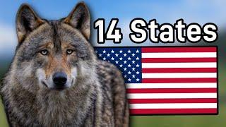 The Wolf Population In Each State They Inhabit & Their Future