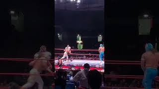 Lucha Libre fight in Mexico City  #4kwalk #travel #walking4k #mexico #cdmx #luchalibre