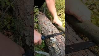 Survival Skills: Very Simple and Ingenious Knife Lifehack #bushcraft #camping #outdoors