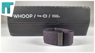 Das Fitness-Wearable? | niceBox: WHOOP 4.0 [Unboxing/HandsOn]