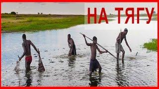 ▶Необычный способ ловли рыбы! Ловля на тягу, заморный водоём. An unusual way to catch fish!