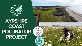 New meadows will bring a buzz to Irvine | Ayrshire Coast Pollinator Project