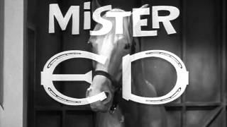 Mister Ed (Intro) S1 (1961)