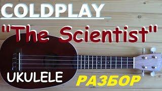 Coldplay  The Scientist   Ukulele cover  как играть на укулеле