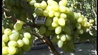 "Сезон забот" с Людмилой Михеевой