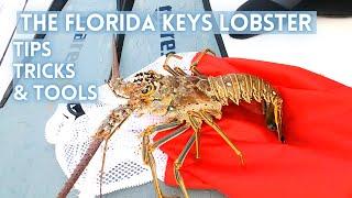 Florida Keys Lobster Season Tips, Tricks, and Tools