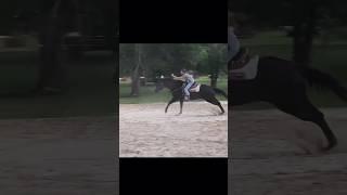 This horse’s stride is something else. #avalynjones #atwistofblackmagic #barrelracing #fyp