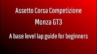 Assetto Corsa Competizione | Beginners Lap guide | Monza | Lexus