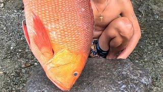 Cleaning & Cooking 13Kg Giant RedBass Fish!  Prito Sabaw Kilaw sa Tanghalian! 