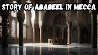 Story Of Ababeel (Birds) in Mecca | Islamic Story