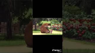 Маша и медведь Прикольный перевод