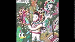 poshdog - dark shark