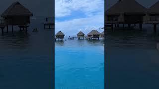 Let’s go to the pool !!!!! I am at the Manava Beach Resort & SPA hotel of #Moorea #vlog #shorts