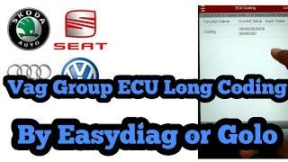 Vag Group Long Coding By easydiag 3 0 , golo 3 0   Skoda Laura 2011 ECM Long Coding. Diagzone Xdiag