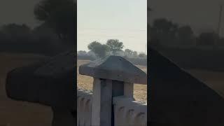 20 Lakh per bhega for sale in Jaipur# jaipur property #jaipurland#jda #jdaapprovedtownship #jdavis