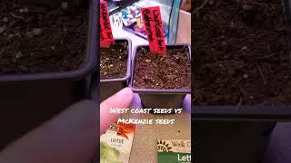 West Coast Seeds vs. McKenzie seeds #seedlings #Ontario #gardening