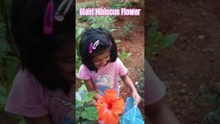 Kid Discovers Big Blossom Bonanza #garden #plants #flowers #baby
