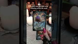 Move or Stay? | Red Fairy Tarot #shorts