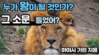 [말랑도서관] 그 소문 들었어? 소문을 옮긴 이는 비난받지 않는가?