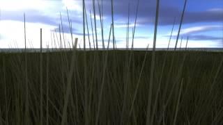 Geometry shader: grass