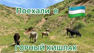 Путешествие по УЗБЕКИСТАНУ ШАХРИСАБЗПо дороге в ГОРНЫЙ КИШЛАК пришлось идти ПЕШКОМ ‍️‍️