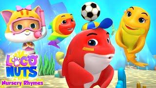 Baby Shark Song | Nursery Rhymes and Kids Songs with Loco Nuts