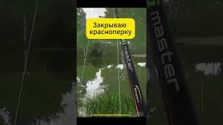 Красноперка Русская Рыбалка 4