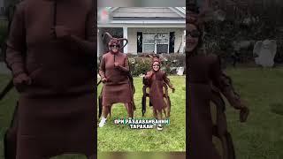 Никогда так не делаете ￼