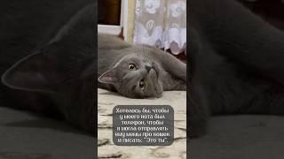 Это Дымок️А как вашего зовут?