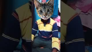 short video#shorts #soma #2023 #dailyvlog #newvideo #family #new #dail #