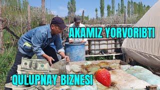 QULUPNAY BIZNESI. KO'RING AFSUS QILMAYSIZ