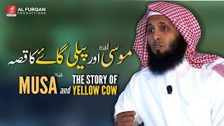 Musa and Story of Yellow Cow | Sheikh Mansour al Salimi منصور السالمي | Al Furqan Productions