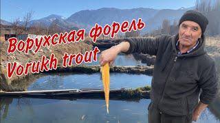 ВОРУХ!!! САМАЯ ВКУСНАЯ ФОРЕЛЬ в Таджикистане! The MOST DELICIOUS TROUT in Tajikistan! Гулмоҳӣ!