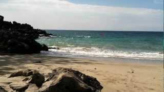 Beach Oasis pt2