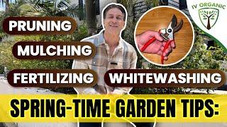 Spring-Time Gardening Tips | Pruning * Mulching * Fertilizing * WhiteWashing