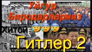 Шаркий Туркистон Уйгур Мусулмонларига Хитой зулуми