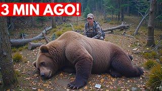 3 Hour of Scary Bear Attack Stories | Reports of People Who Were Attacked Vol.05