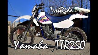 Yamaha TTR250 Testing and Starting