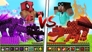 FAKİR EJDER VS ZENGİN EJDER! (999 ELMAS KAZANAN!) - Minecraft