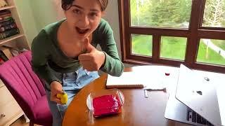 Bilkent University PHYS101 Lab Project - Damla Su Bilge