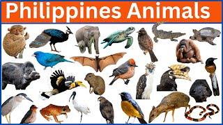 Meet the Philippines Most Fascinating Creatures