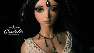 Распаковка куклы BJD,iplehouse-Cordelia(Carved Heritage)