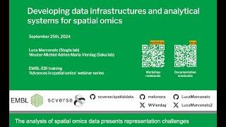 Developing data infrastructures and analytical systems for spatial omics