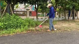 Clean Sidewalk grass mowing near abandoned school 20years that the government does not pay attention