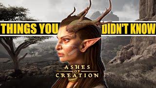 Ashes Of Creation 10 Things You Did Not Know (probably)