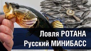 Ловля РОТАНА. Русский МИНИБАСС. Рыбалка по первому льду.