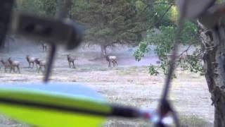 Big Bear Outdoors-2012 Wyoming Archery Elk