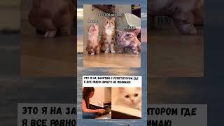 #мем2024 #мемчики #мемдня #мем #мемы