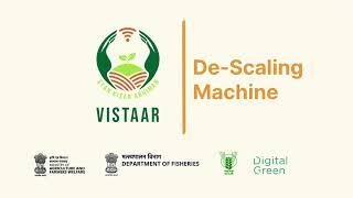 De scaling machine