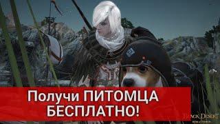 Получи БЕСПЛАТНО ПИТОМЦА + Свиток убывающей Луны (приложение Black Desert+)